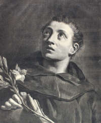 Pelli Marco