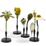 Set of four anatomical plant models - Foto 1