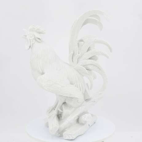 Crowing rooster - Foto 2