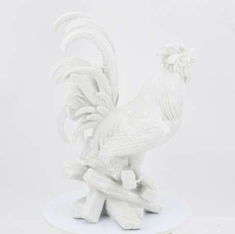 Crowing rooster - Foto 5