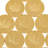 Kanada/GOLD - Weiteres großes Investment Lot aus 15 x 1 oz. - Foto 4