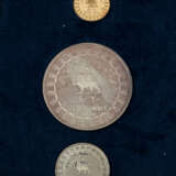 Set Iran 1971 ex PP mit 9 Münzen - 25/50/75/100/500/750/1000/2000 Rials - photo 5