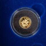 Goldmünzenset "Die berühmtesten Goldmünzen der Welt" - - фото 8
