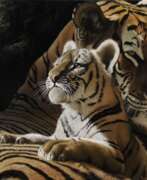 Черногория. Рождение золотого тигра