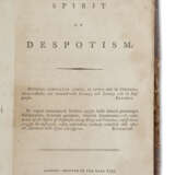 The Spirit of Despotism - Foto 3