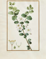 PANCRACE BESSA (PARIS 1772-1846 ECOUEN)