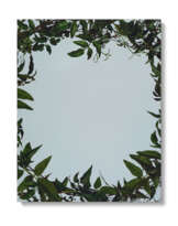 SARAH CHARLESWORTH (1947-2013)