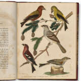 American Ornithology - photo 3