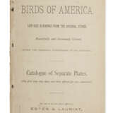 Audubon’s Birds of America. Life-Sized Drawings From the Original Stones - photo 1