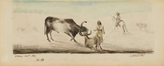 Roping a bull in California - photo 1