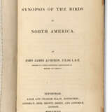 A Synopsis of the Birds of North America - фото 1