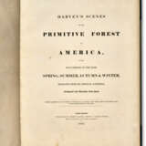 The Primitive Forest of America - Foto 5