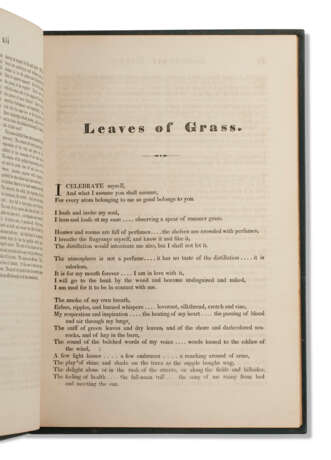 Leaves of Grass - photo 2