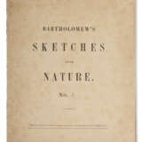 Bartholomew`s Sketches from Nature - photo 2