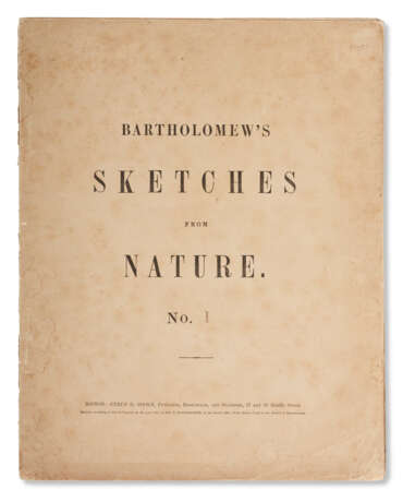 Bartholomew`s Sketches from Nature - photo 2