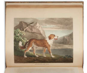 The Cabinet of Natural History and American Rural Sports with Illustrations