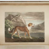The Cabinet of Natural History and American Rural Sports with Illustrations - Foto 1