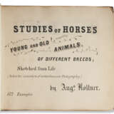 Studies of Horses Comprising Young and Old Animals - Foto 1
