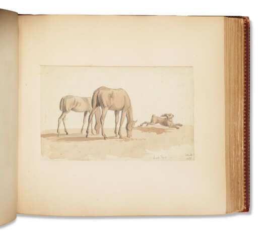 Studies of Horses Comprising Young and Old Animals - photo 2