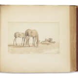 Studies of Horses Comprising Young and Old Animals - Foto 2