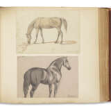 Studies of Horses Comprising Young and Old Animals - Foto 3