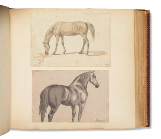 Studies of Horses Comprising Young and Old Animals - photo 3