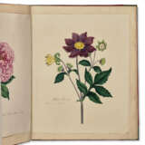 Botanical Watercolors - фото 1