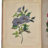 Botanical Watercolors - фото 3