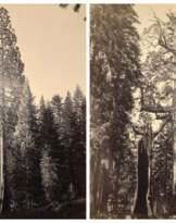 CARLETON E. WATKINS (1829–1916)