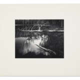 ANSEL ADAMS (1902-1984) - photo 2