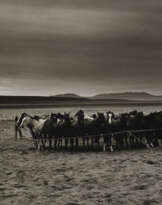 KURT MARKUS (B. 1947)