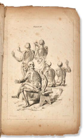 A Compendium of Picturesque Anatomy - Foto 1