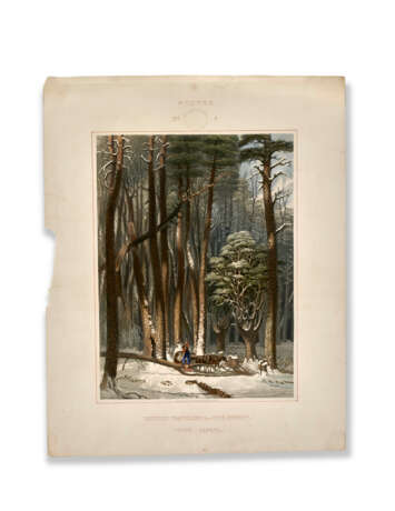 Two Plates From Harvey’s Scenes of the Primitive Forest of America - фото 1