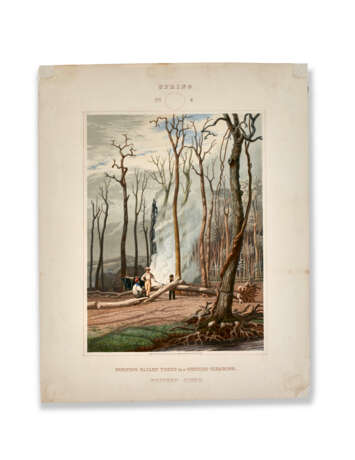 Two Plates From Harvey’s Scenes of the Primitive Forest of America - photo 2