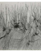 BRETT WESTON (1911–1993)