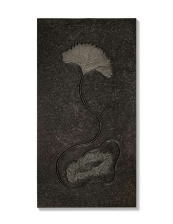 A VERY LARGE FOSSIL SEA LILY PLAQUE - Foto 1