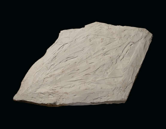 A LARGE FOSSIL RAY-FINNED FISH - Foto 2