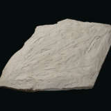 A LARGE FOSSIL RAY-FINNED FISH - Foto 2