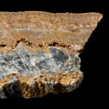 ONE OF THE EARLIEST FORMS OF LIFE - photo 4