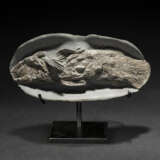 A FOSSIL COELACANTH - фото 6