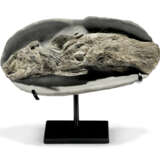 A FOSSIL COELACANTH - фото 7