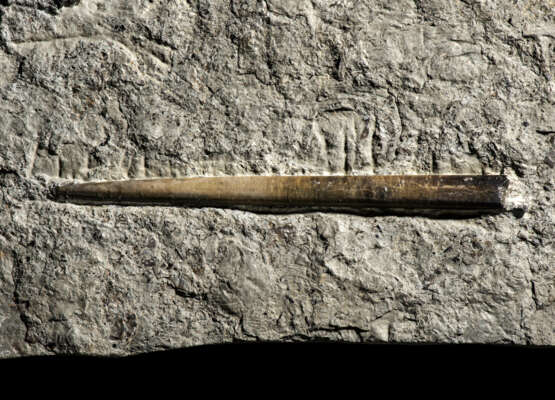 FOSSIL BELEMNITES - Foto 2