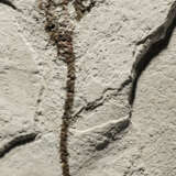 TWO FOSSIL SEAHORSES - Foto 2
