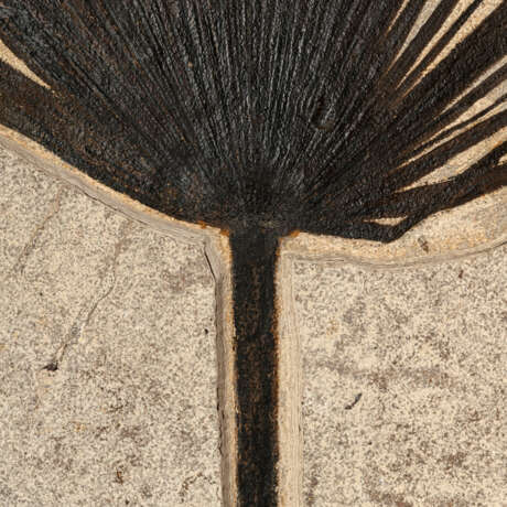 A PARTIAL FOSSIL PALM FROND - Foto 4