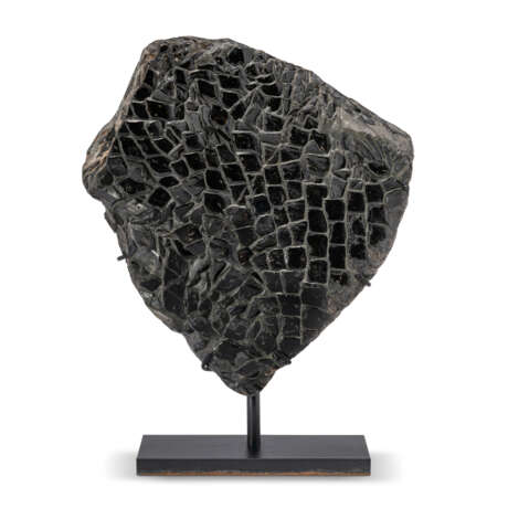 FINELY PRESERVED FOSSIL FISH SCALES - Foto 1