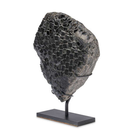 FINELY PRESERVED FOSSIL FISH SCALES - Foto 3