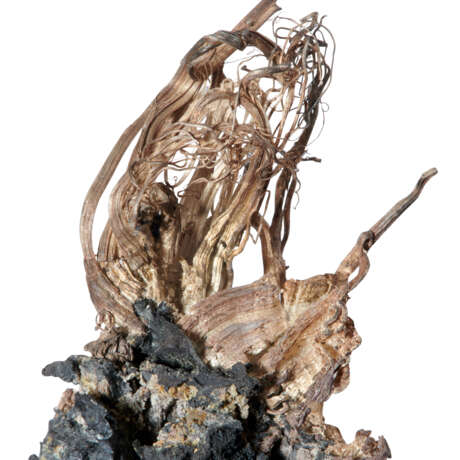 NATIVE SILVER ON ACANTHITE - Foto 5