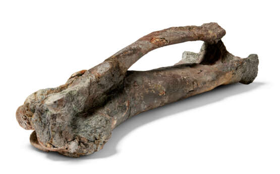 THE LEG BONES OF A STEGOSAURUS - фото 3