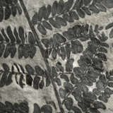 A LARGE FOSSIL FERN PLATE - фото 4