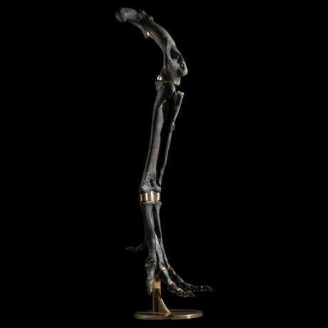 THE LEG OF A TYRANNOSAURID - Foto 1